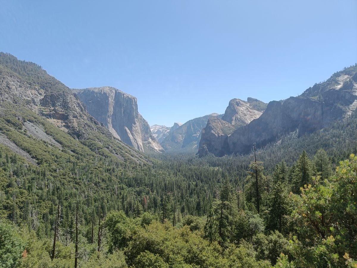 Yosemite valley landscape
